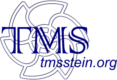 TMSstein - Logo